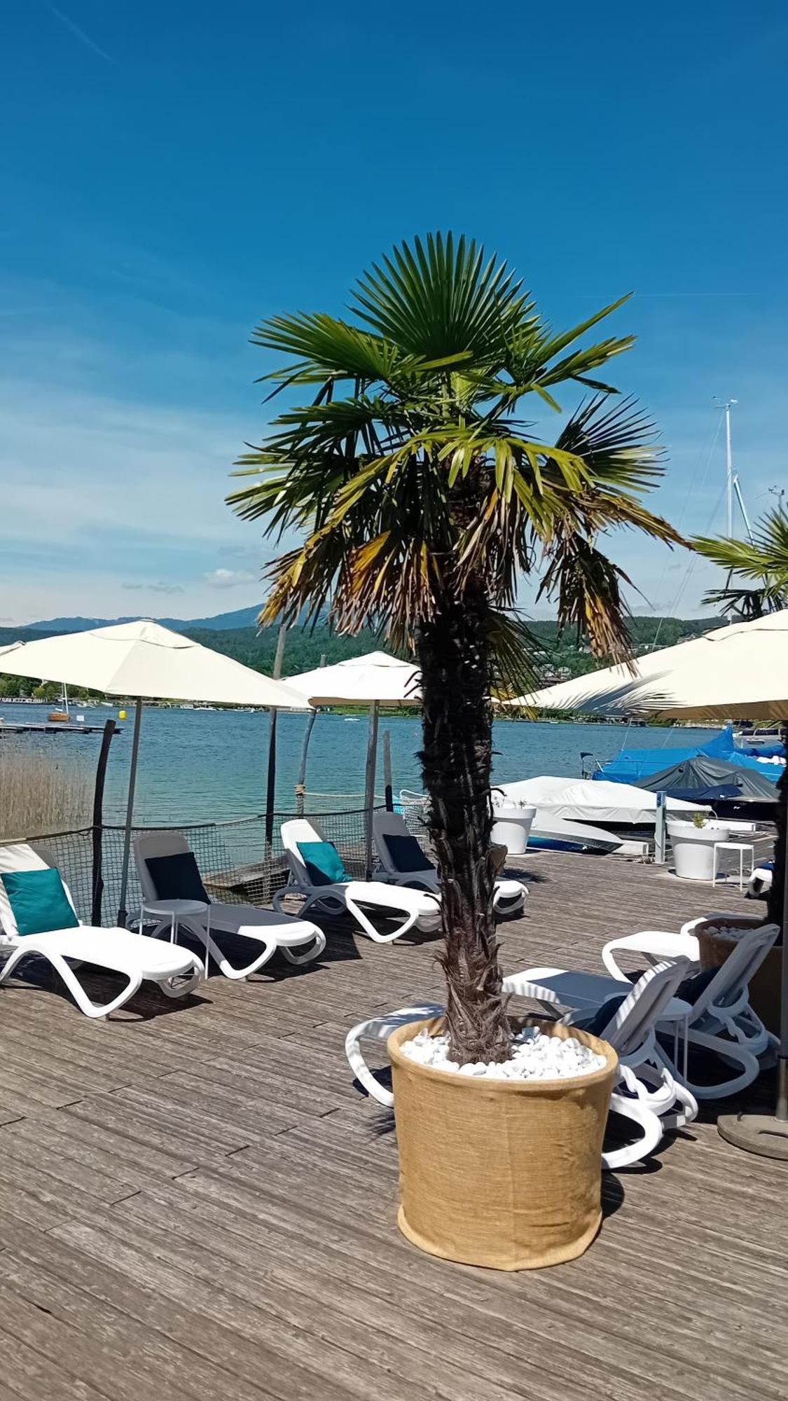 Tennis & Yacht Hotel Velden Velden am Wörthersee Exteriér fotografie